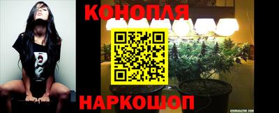 дживик Жуковский