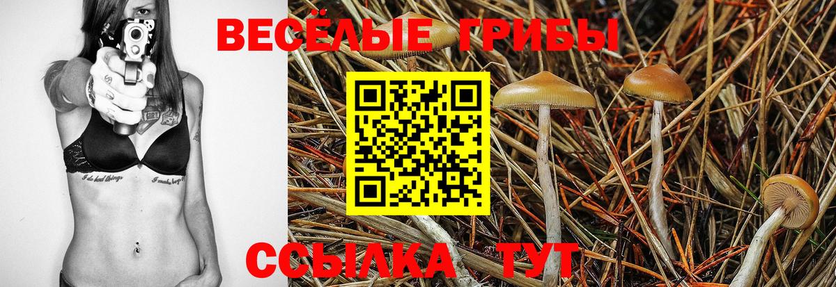 Лосино-Петровский  Псилоцибиновые грибы Psilocybine cubensis  Вход с VPN 